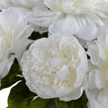 Peony Stem x2 in Glass 18"H White