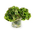 Hydrangea Arrangement in Leaf Lined Glass 11"H Green