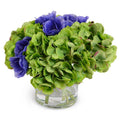 Hydrangea & Anemone Arrangement Small 11"