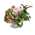 Hydrangea Cutting 10"H Pink Green