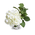 Hydrangea Cutting 10"H White