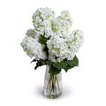 Hydrangea Snowflake in Glass 30"H