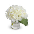 Hydrangea Cutting 8"H Cream-white