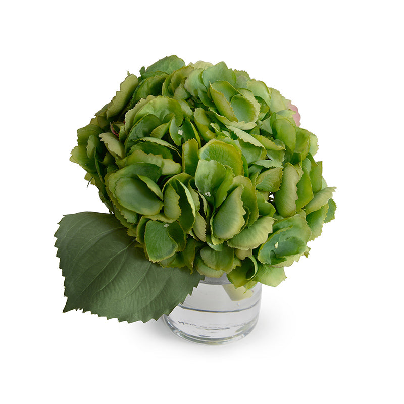 Hydrangea Cutting 8"H Green
