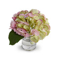 Hydrangea Cutting 8"H Pink-green