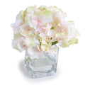Hydrangea Cutting 8"H Blush