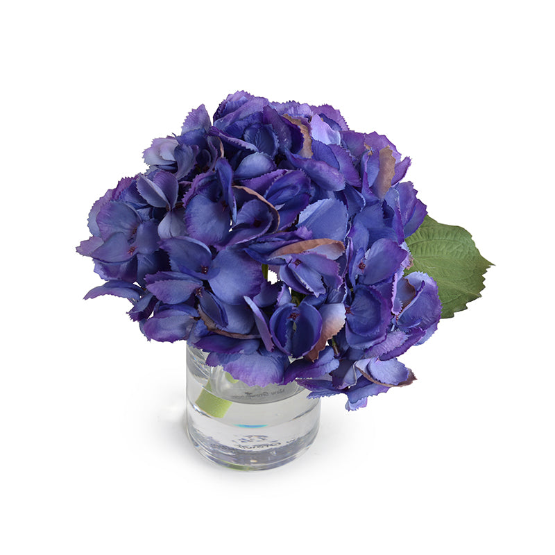 Hydrangea Cutting 8"H Purple