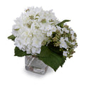 Hydrangea Bud Cutting in Glass 9"H