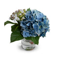 Hydrangea w/Bud Cutting in Glass 9"H Blue