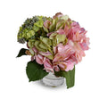 Hydrangea w/Bud Cutting in Glass 9"H Pink-green