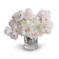 Protea Flowers in Glass - Blush Pink 9"
