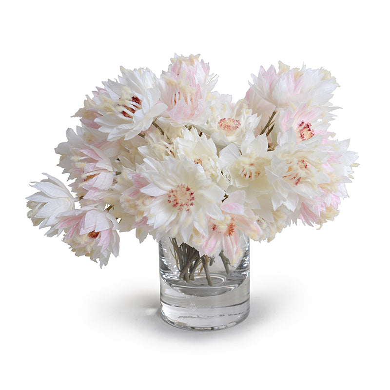 Protea Flowers in Glass - Blush Pink 9"