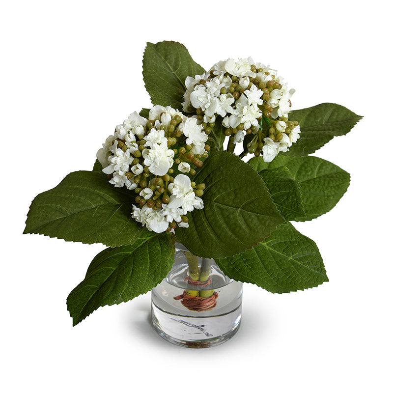 Hydrangea Bud Arrangement 8"H White