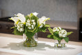 Calla Lily & Hydrangea Buds Arrangement 15"H White / Clear Glass Vase