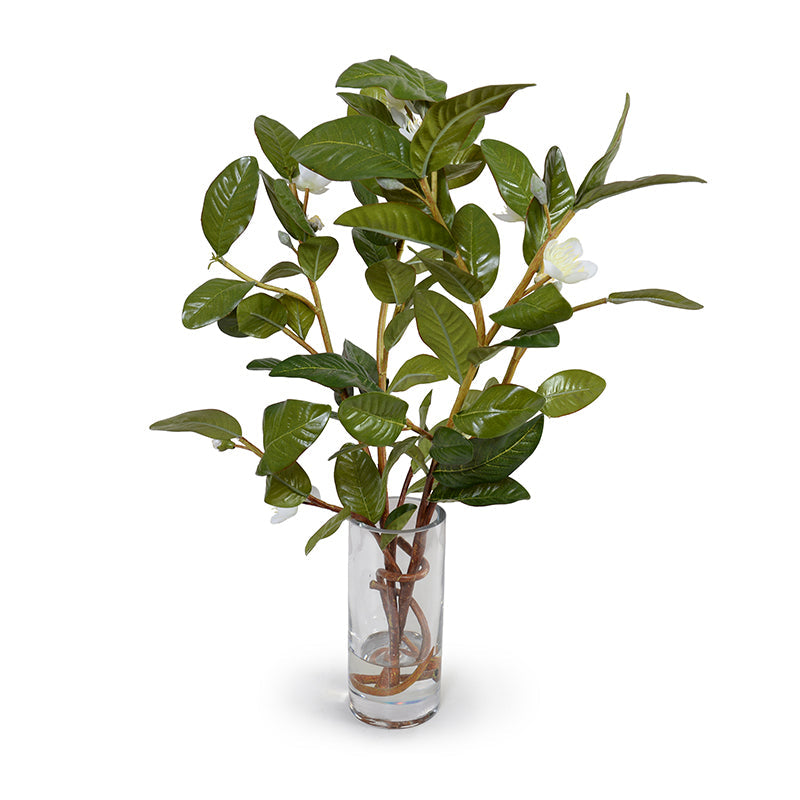 Pomegranate Leaf Arrangements 22"