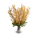Forsythia & Privet Arrangement in Glass 44"H
