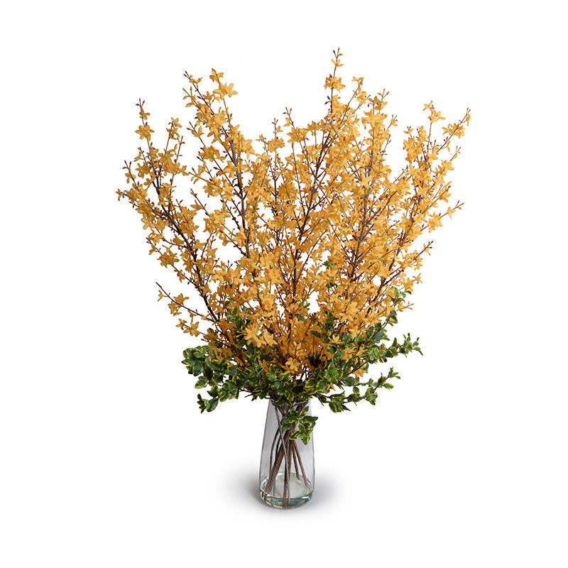Forsythia & Privet Arrangement in Glass 44"H