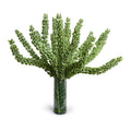 Bells of Ireland in Leaf Lined Glass 42"H