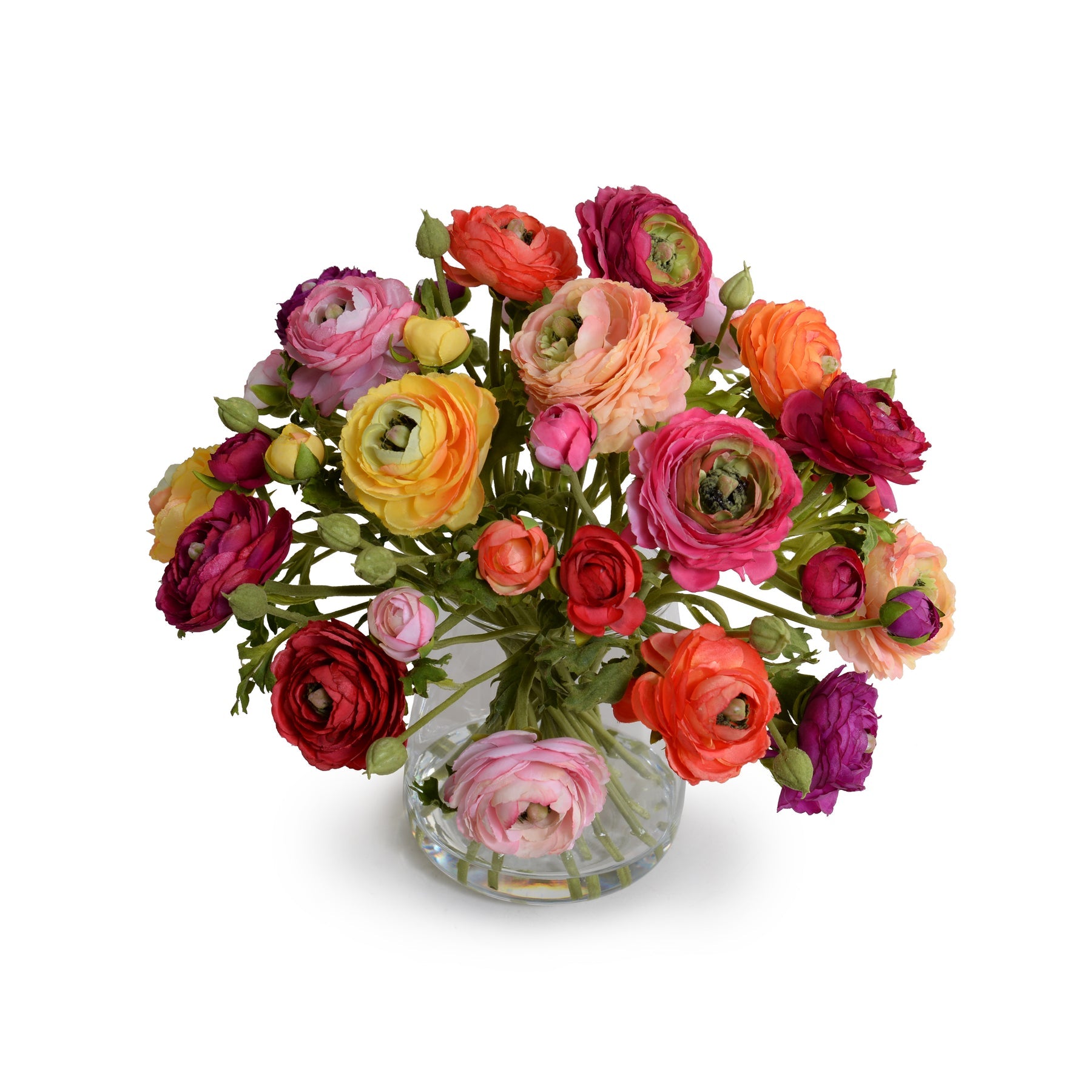 Ranunculus in Glass 11"H