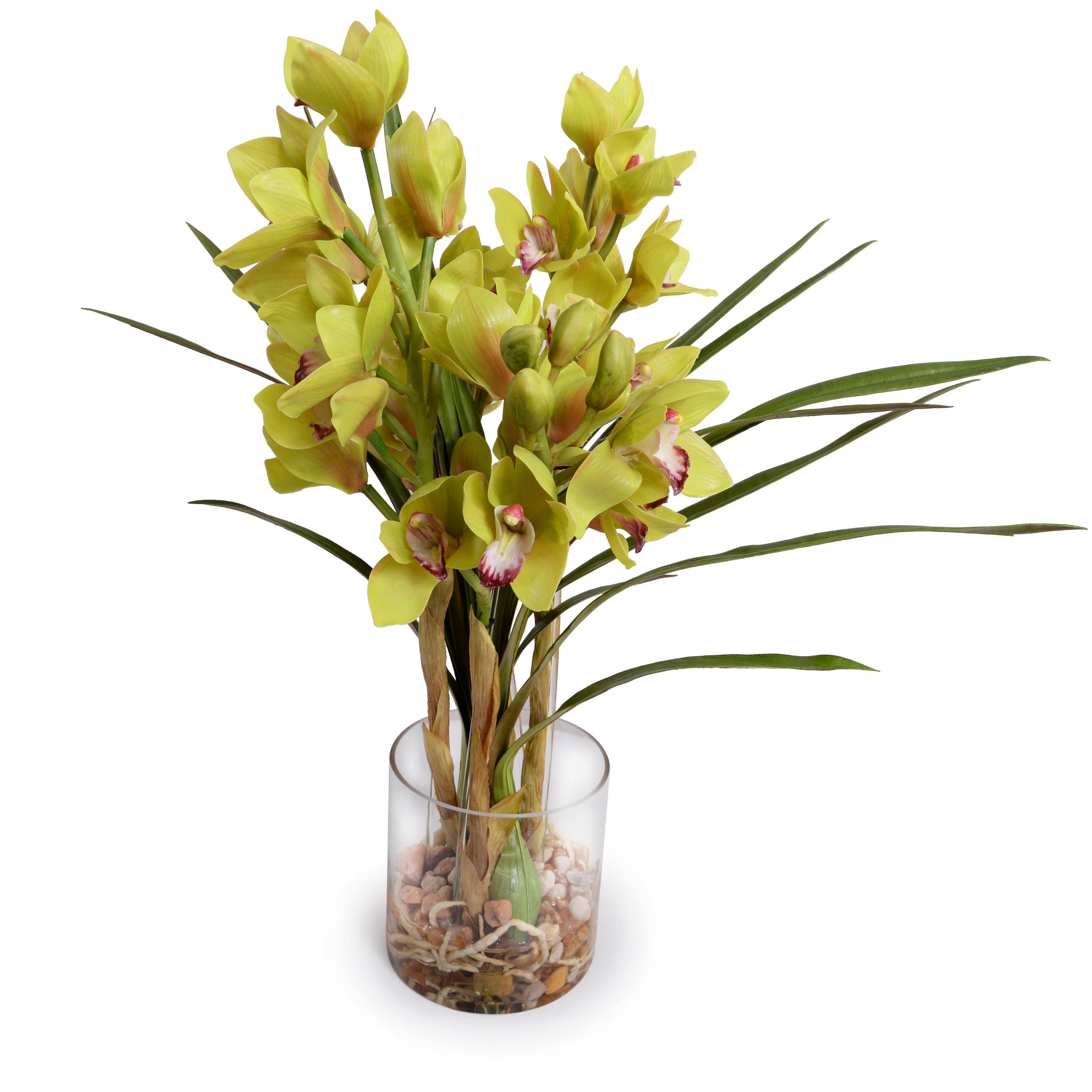Cymbidium Orchid in Glass 24"H Green