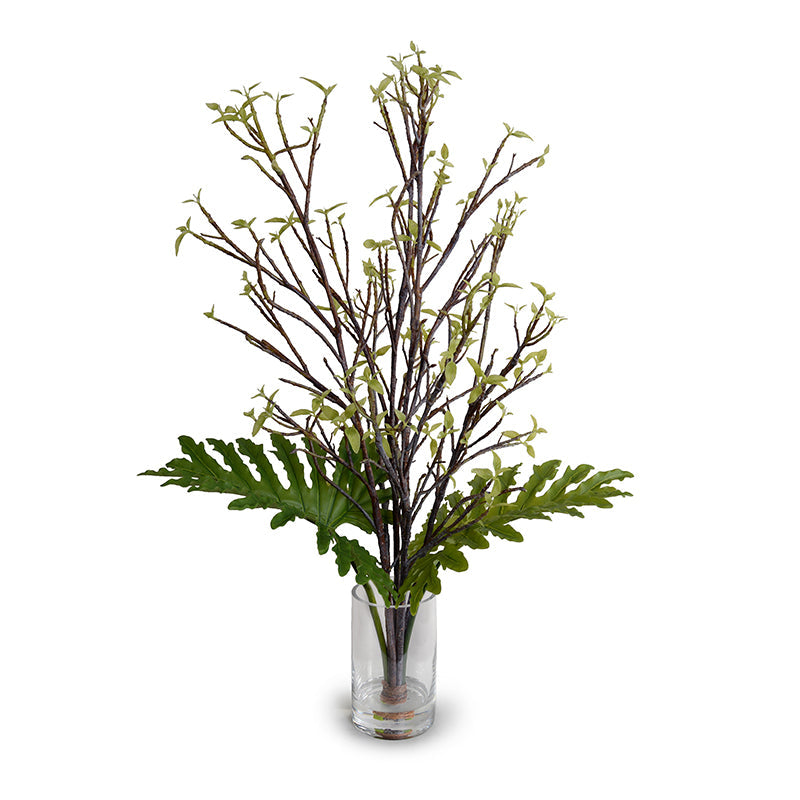 Ficus & Philodendron Selloum Branches in Glass