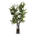 Holly Branch with Berries in Glass 38"