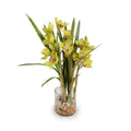 Cymbidium Orchid in Glass 27"H Green