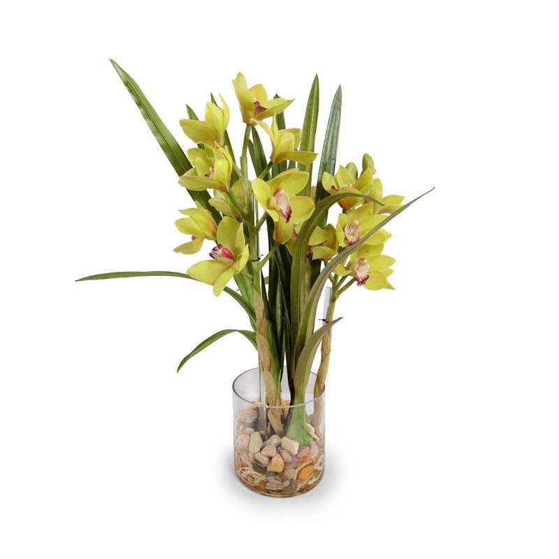 Cymbidium Orchid in Glass 27"H Green