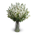 Snapdragon & Privet in Glass 32"H
