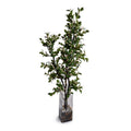 Holly Branch with Berries in Glass 54"