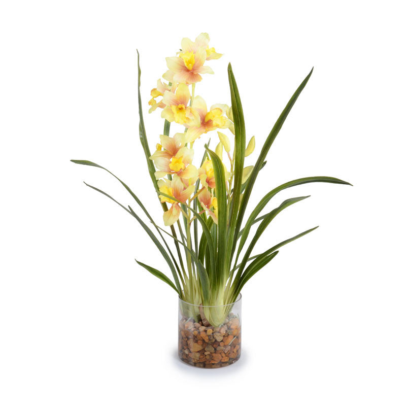 Cymbidium Orchid in Glass 29"H