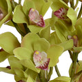Cymbidium Orchid Cutting 20"H Green