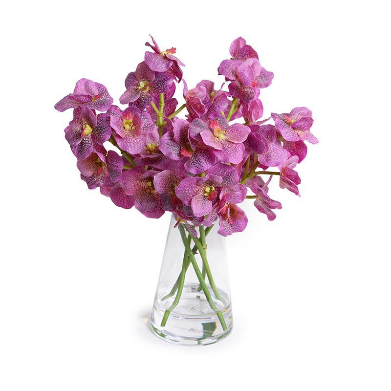 Vanda Orchid Cuttings in Glass 15"H Pink