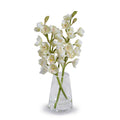 Cymbidium Orchid Cutting 17"H