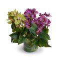 Vanda & Cymbidium Orchids in Leaf Lined Glass 15"H Fuchsia