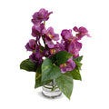 Vanda Orchids & Pothos in Glass 13"H Fuchsia