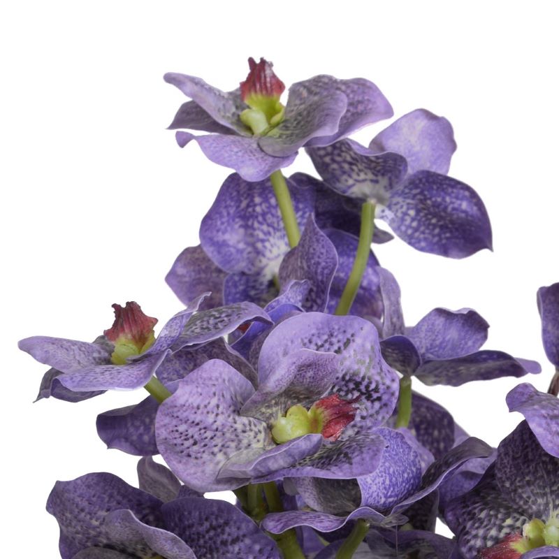 Vanda Orchids & Pothos in Glass 13"H Purple