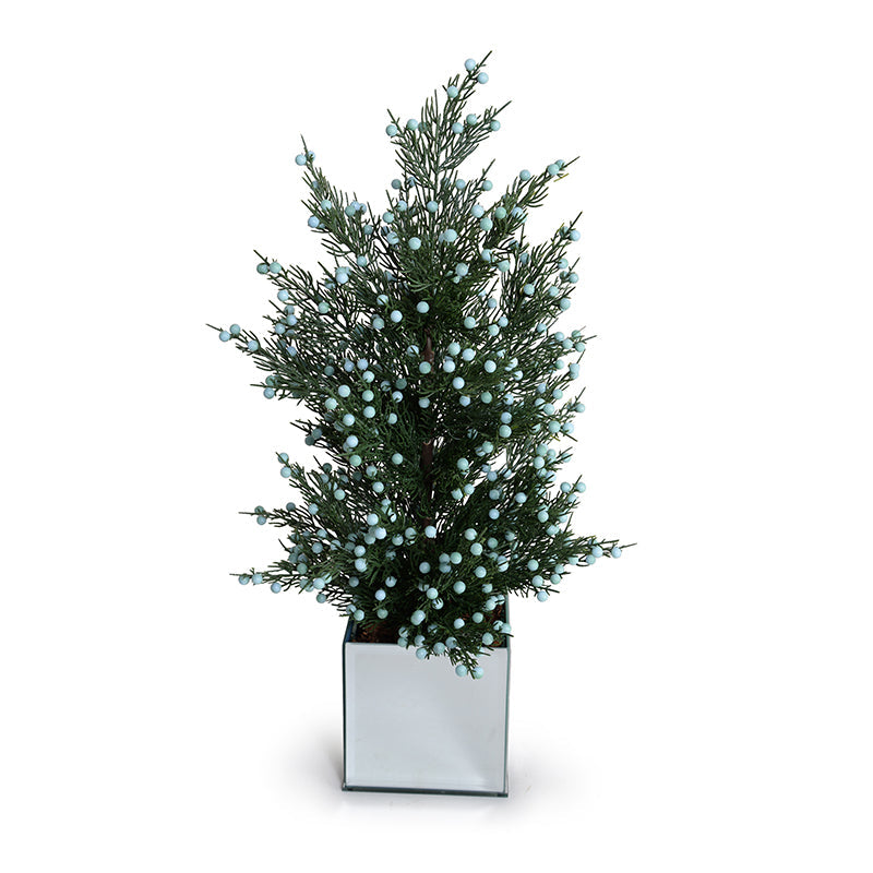 Juniper Bush in Mirror Cube, 22"H