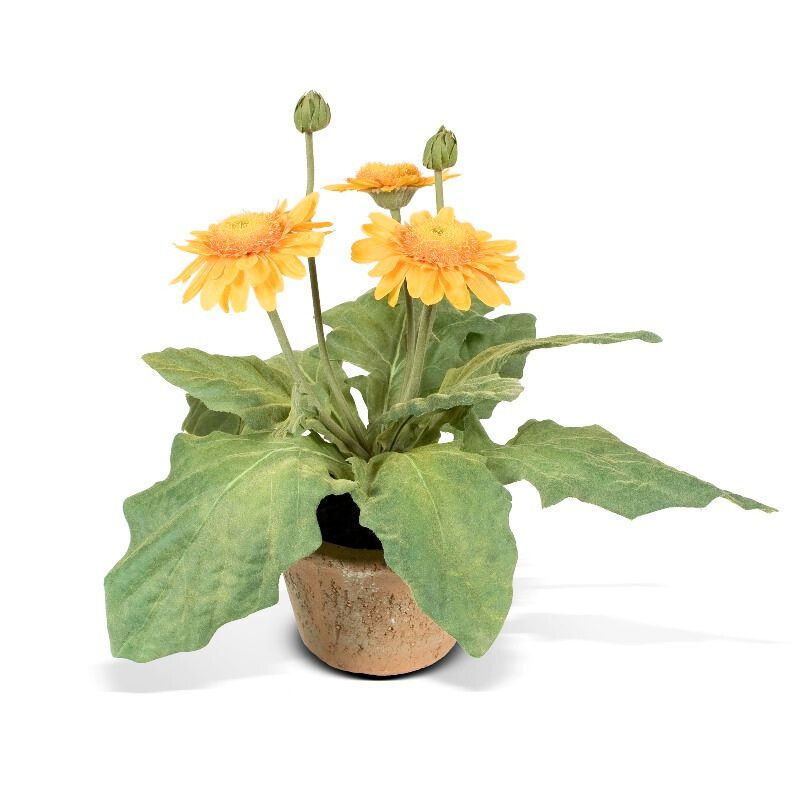 Gerbera Daisy 8"H Gold