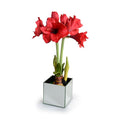 Amaryllis in Mirror Vase 22"H Red