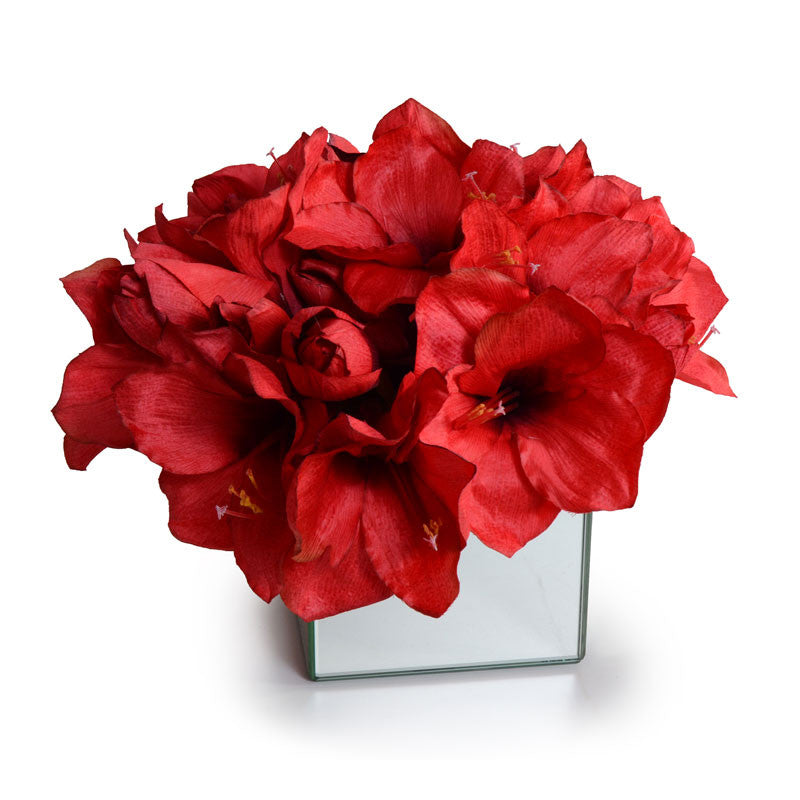 Amaryllis in Mirror Vase 11"H