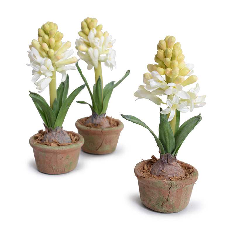 Hyacinth Mini-Pot 9"H White