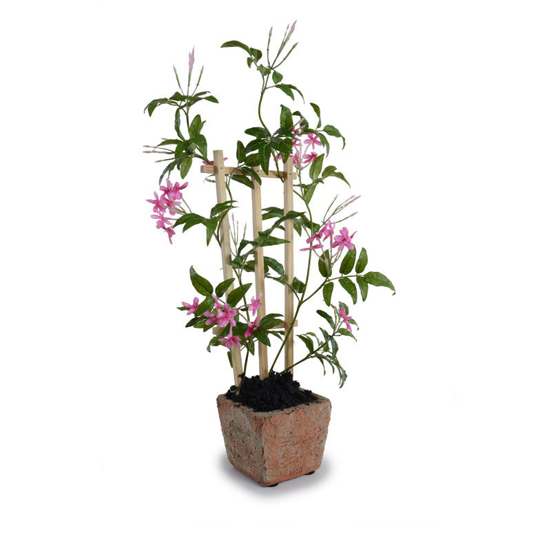 Jasmine Vine 18"H - Pink
