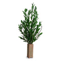 Camellia Branches in Column, 50"H