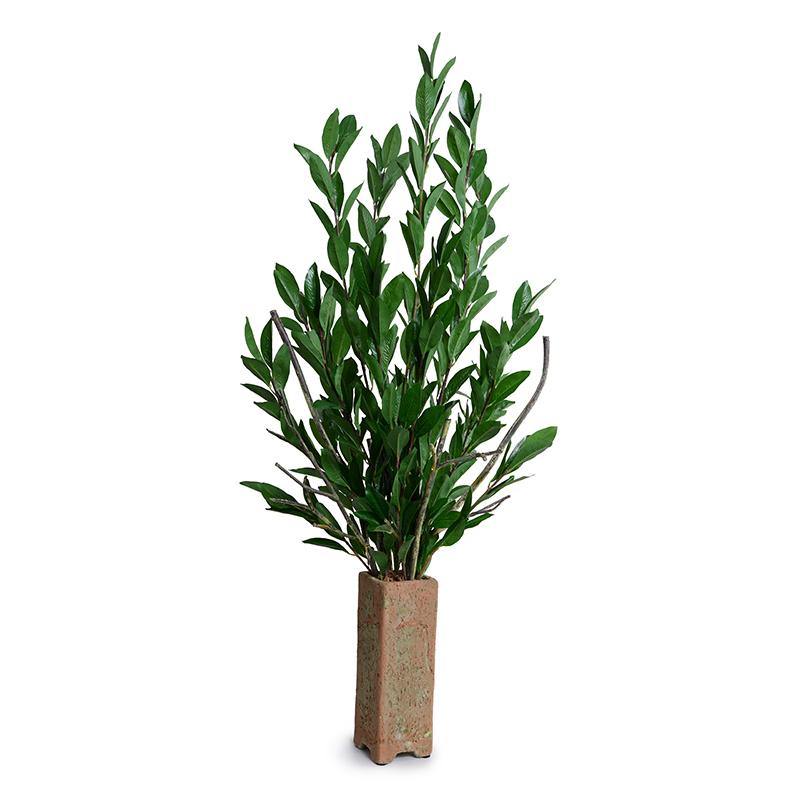 Camellia Branches in Column, 50"H