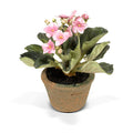African Violet 8"H LightPink