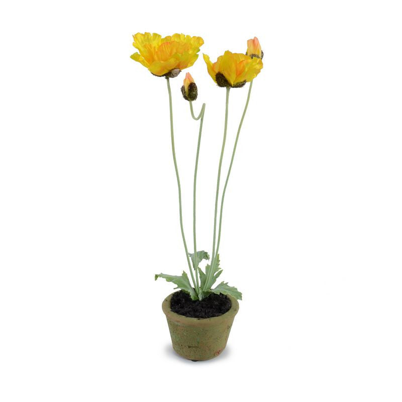 Poppy in Terracotta 19"H