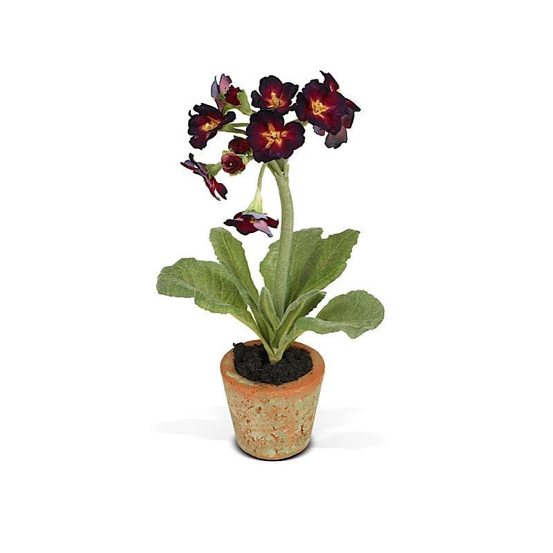 Primula Mini-Pot 11"H