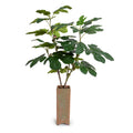 Fig Branches w/ Fruits in Vase 36"H Terracotta