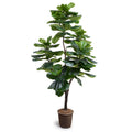 Fiddle Leaf Fig Tree Standard 7.5'
